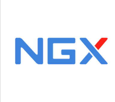 NGX authorized partner logo
