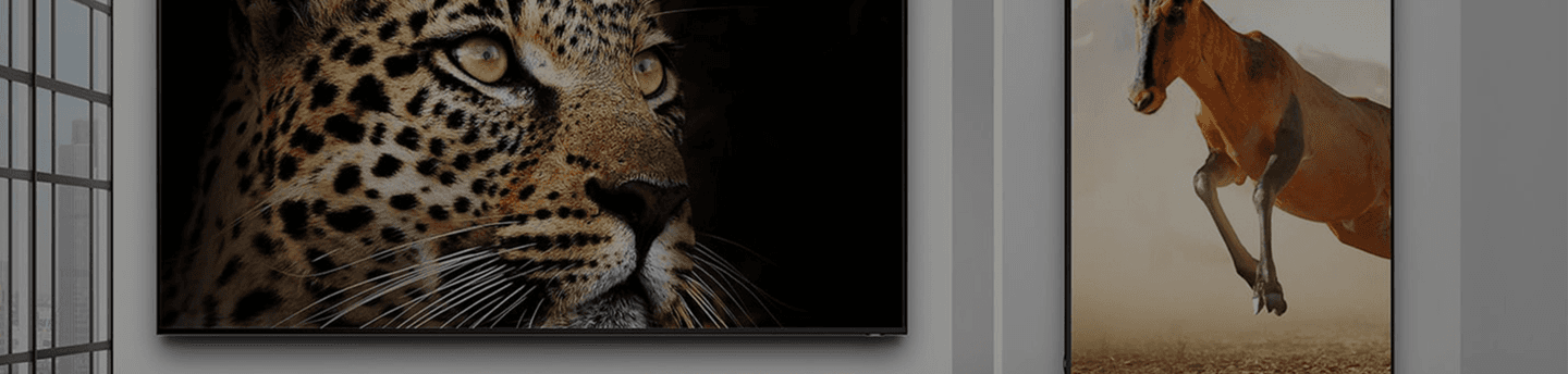 Digital Signage Solutions